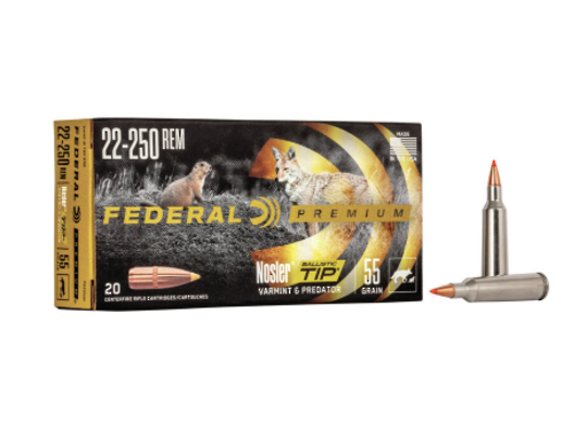 Federal Premium 22-250 55gr Ballistic Tip x20
